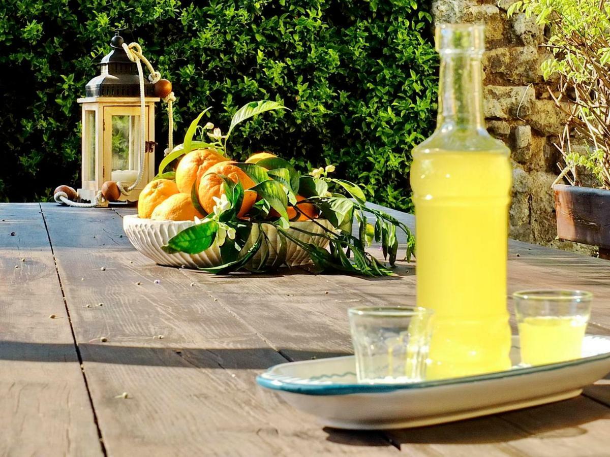 B&B Villa Elisa Meta Eksteriør billede
